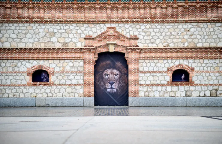 ilustración de león en la fachada de matadero
